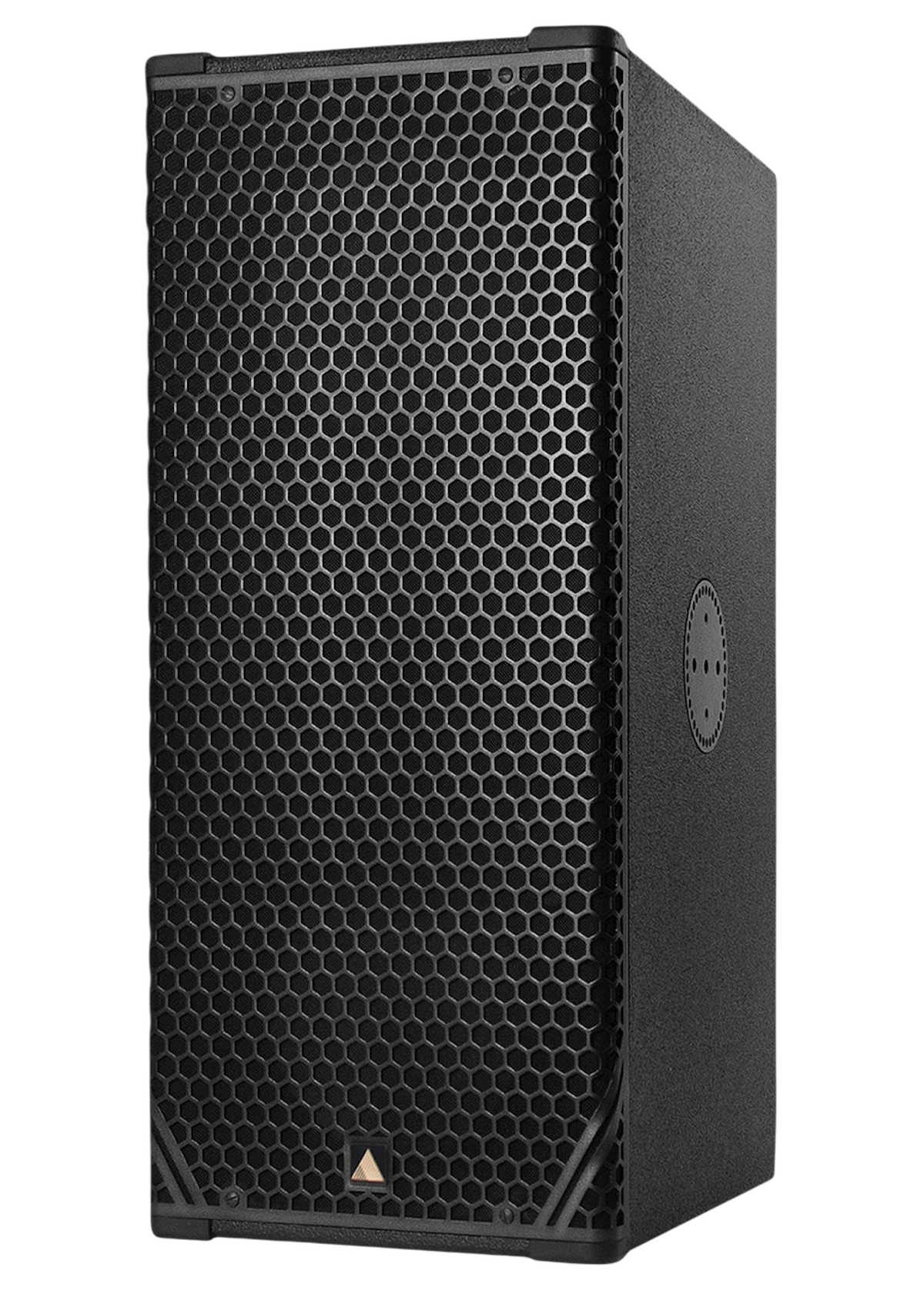 ADAMSON CS10P